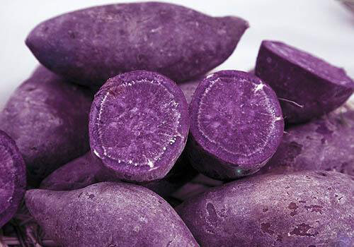 紫薯長毛了還能吃嗎吃了發霉紫薯怎麼辦第2張